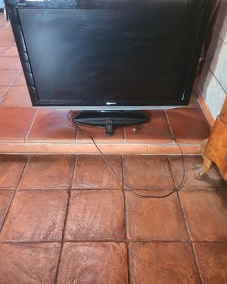TV con telecomando 
