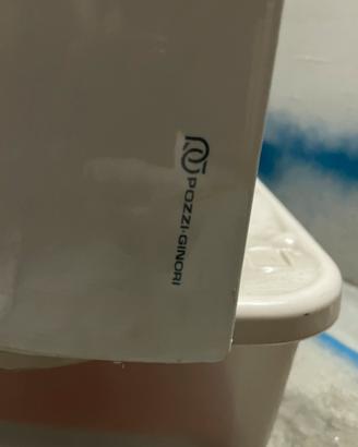 Due lavandini da bagno con colonne incluse