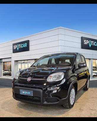 FIAT Panda Serie 7 1.0 70cv HybridPanda