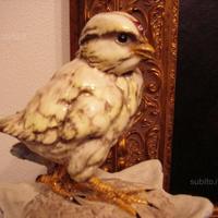 Ceramica Guido Cacciapuoti