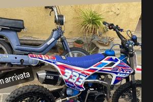 Polini Altro modello