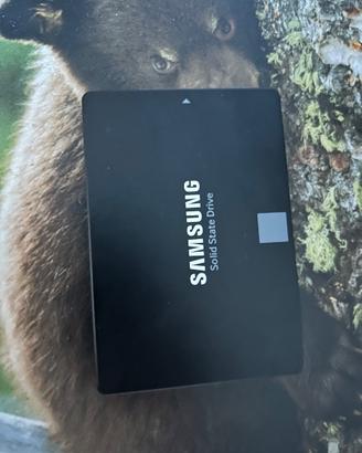 Ssd SAMSUNG 500 gb PERFETTO
