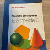 Matematica per Competenze Geometria C