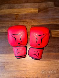 guantoni da boxe