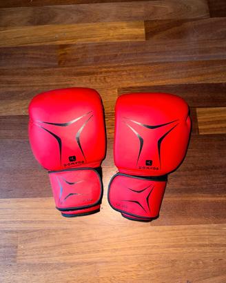 guantoni da boxe