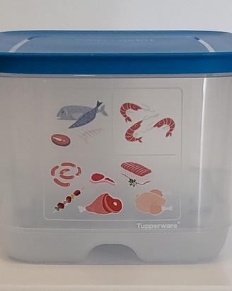 Contenitore Tupperware frigo