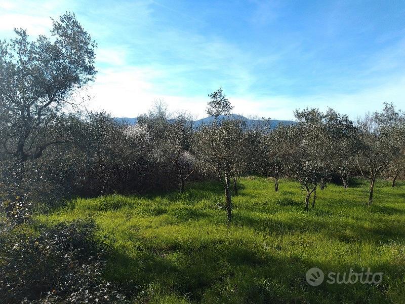 Terreno agricolo a Montecalvoli ( PI ) - Vista 4