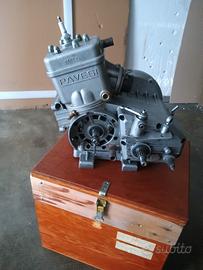motore kart pavesi
