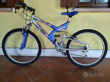 Mountain bike