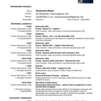 Manovale, vigilanza, pulizie magazziniere