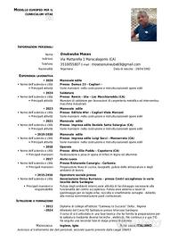Manovale, vigilanza, pulizie magazziniere