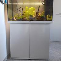 Acquario Rio Juwel 125 led