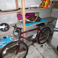 Bici