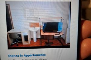 Singola x Studente maschio Uni BICOCCA o Bovisa