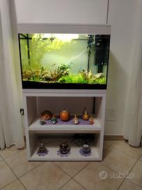 Acquario 