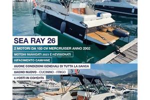 Barca SeaRay 26