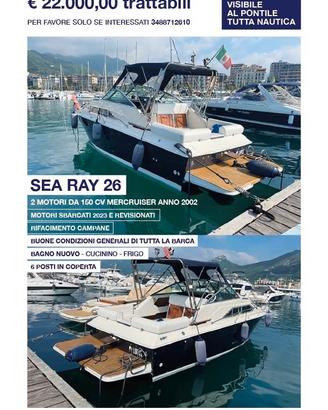 Barca SeaRay 26