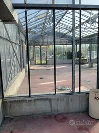 vetri per serre