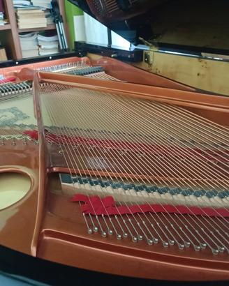 Pianoforte a coda Feurich F179 Dynamic II