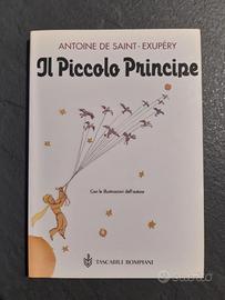 Il piccolo principe