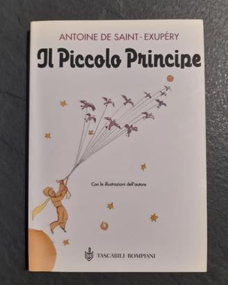 Il piccolo principe