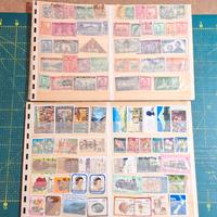 FRANCOBOLLI DI NUOVA ZELANDA - 285