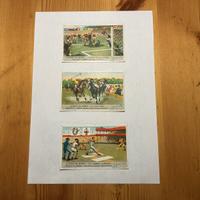 Figurine Liebig anno 1951