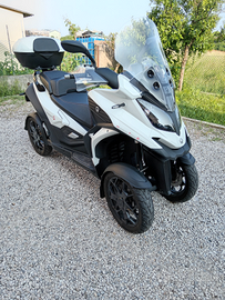 Scooter quadro4