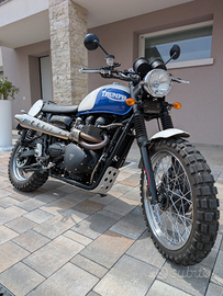 Triumph scrambler Mr. Martini