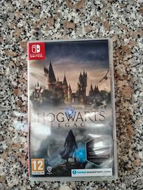 Hogwarts Legacy Nintendo Switch