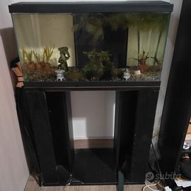 acquario 60 litri 