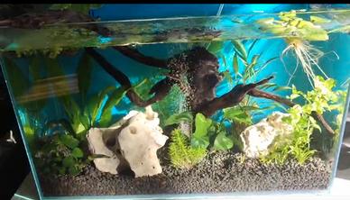 Acquario 60 L
