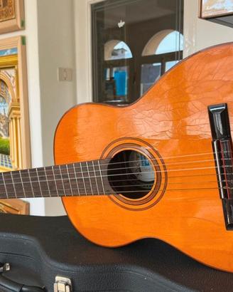 Chitarra classica vintage DiGiorgio (1978)