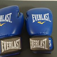 guantoni everlast 10 once 