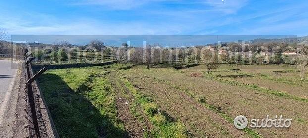 Terreno 15.000 mq a piedimonte etneo - Vista 5