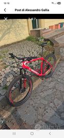 mtb specialized sworks tg