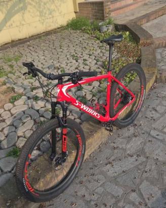 mtb specialized sworks tg