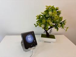 Samsung Z Flip 5 256GB Garanzia 12 Mesi Fattura