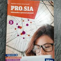 pro.sia informatica e processi aziendali