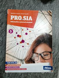 pro.sia informatica e processi aziendali
