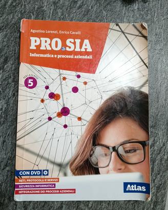 pro.sia informatica e processi aziendali