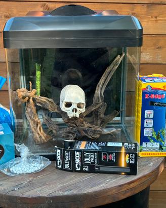 Acquario  Billy30 (30L) +accessori e decorazioni