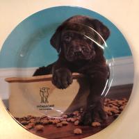 Piattino in plastica