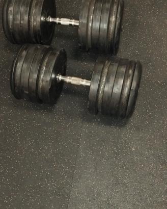 manubri palestra 