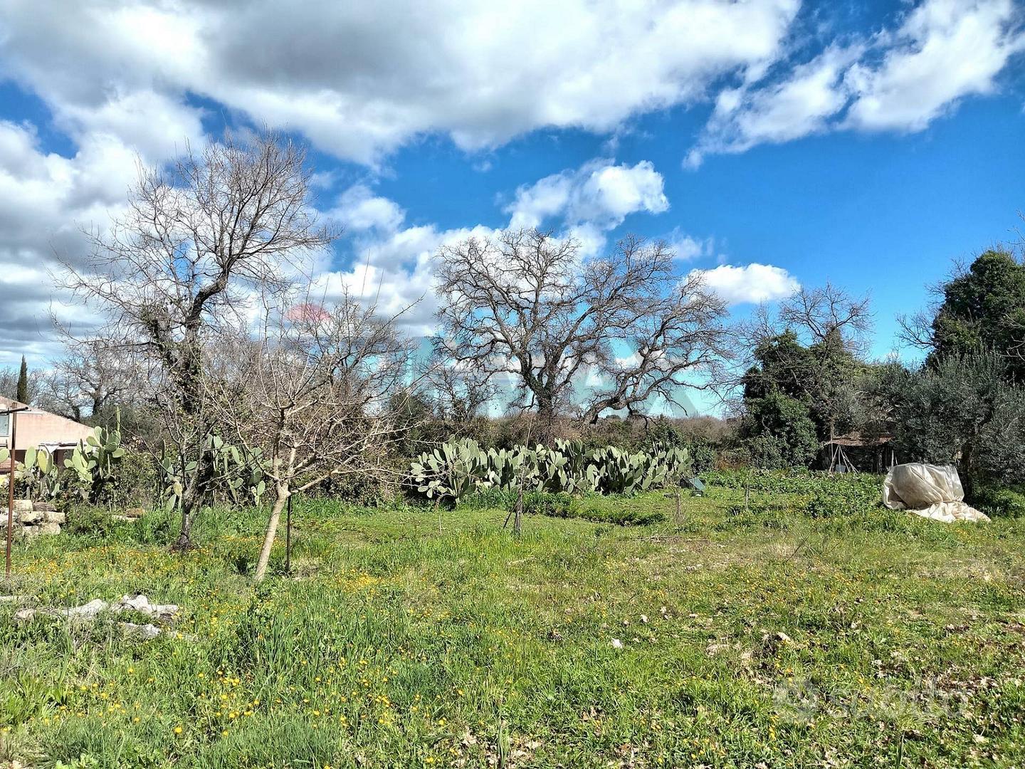 Terreno - Palazzolo Acreide - Vista 2