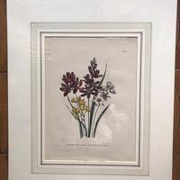 Stampa artistica