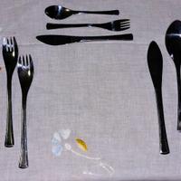 servito posate AMC Elypsis ff completo 89 pezzi