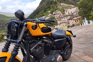  Harley Davidson Iron 883