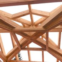 Falegname & Carpentiere in legno