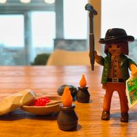 Playmobil Cercatore di rubini mod 5384